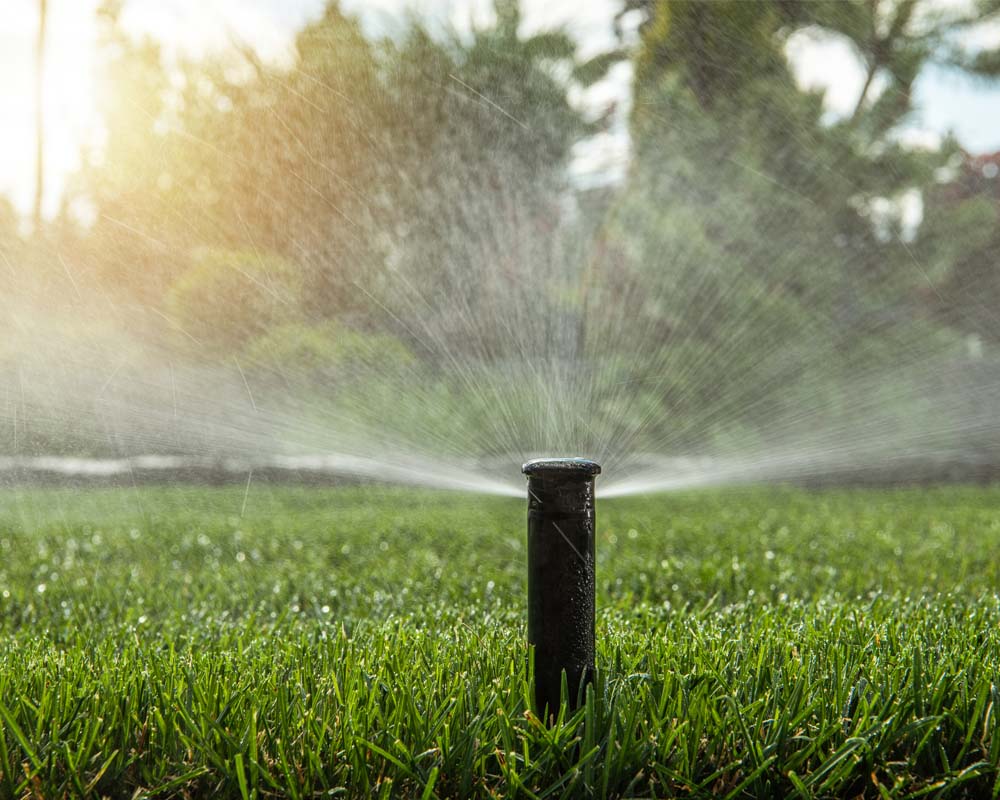 Sprinkler water a Texas lawn.